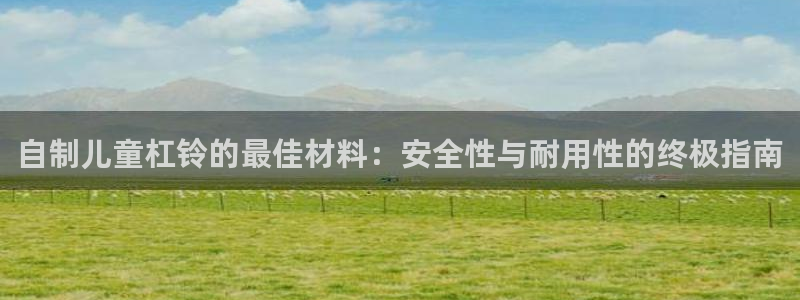 富联平台万 3.7.OO.7.3.5：自制儿童杠铃的