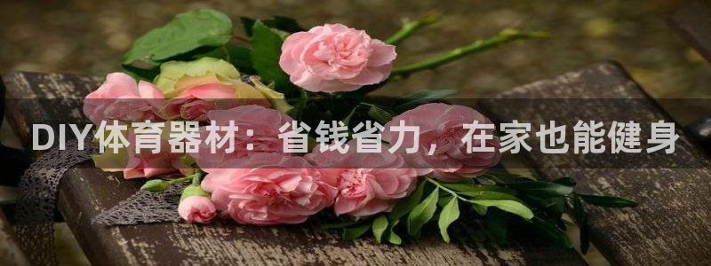 富联平台开户佣金多少：DIY体育器材：省钱省力，在家