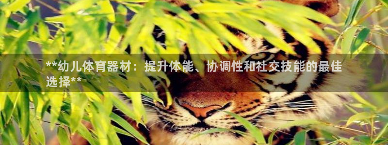 富联平台案7O777：**幼儿体育器材：提升体能、协