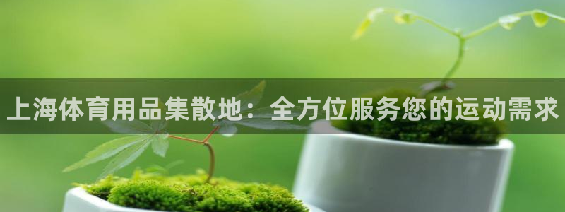 富联申购上市价格预测最新:上海体育用品集散地:全方位服务您的