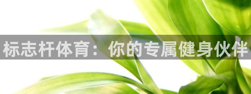 富联平台开户佣金多少：标志杆体育：你的专属健身伙伴