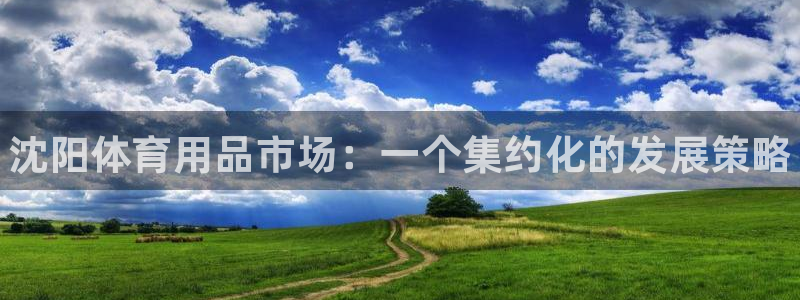 富联娱乐正规吗安全吗：沈阳体育用品市场：一个集约化的