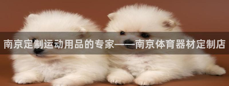 富联娱乐向 5o69I7：南京定制运动用品的专家——南京体育